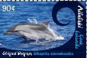 Whales & Dolphins Definitive