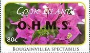 Flower Definitive OHMS