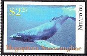 Whale