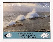 Copy of Blowhole