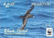 Niuafo'ou - WWF Black Petrel