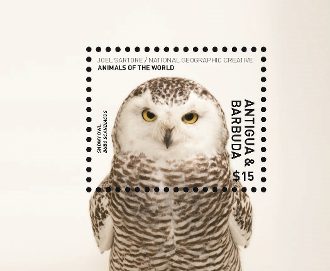 Philatelic Collector Inc