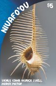 Niuafo'ou - Seashells