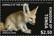 Tonga - Animals of the World