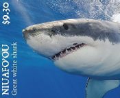Niuafo'ou - Sharks