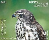 Penrhyn - Birds of Prey - Part 2