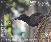 Penrhyn - Birds of the World - Paradise