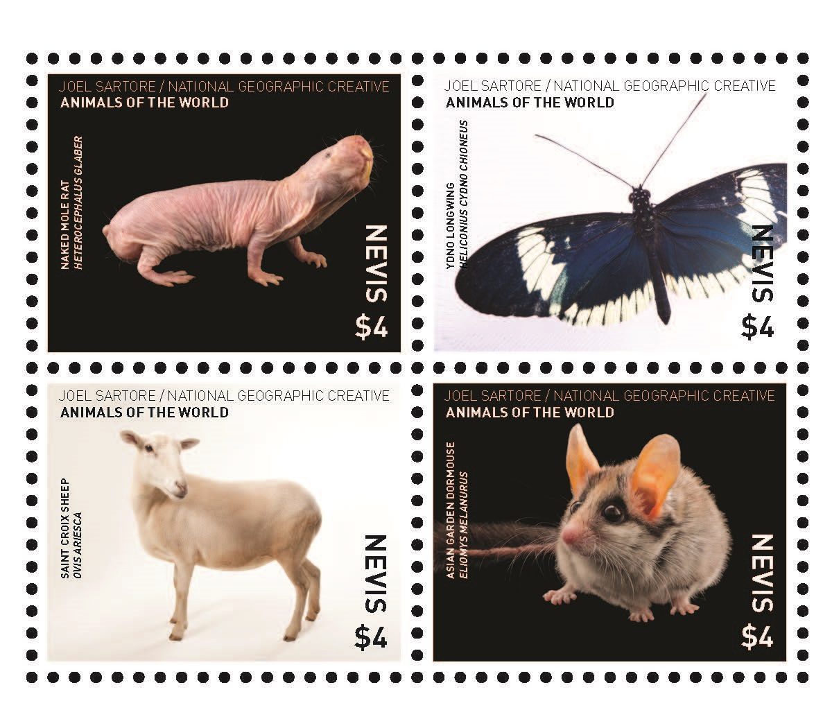 Philatelic Collector Inc