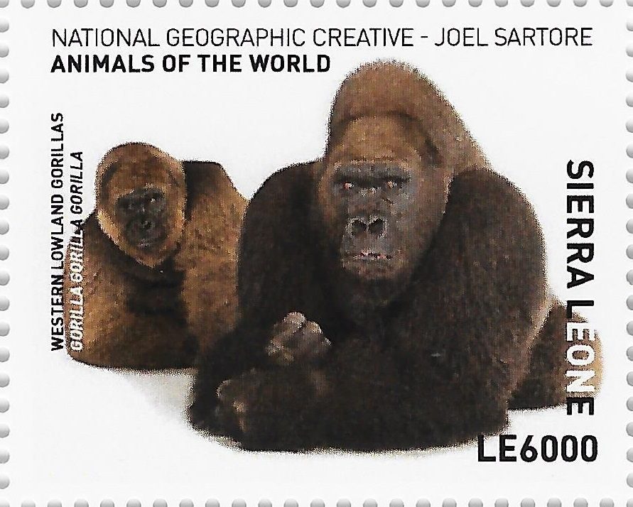 Philatelic Collector Inc