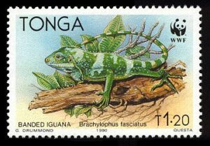 Philatelic Collector Inc