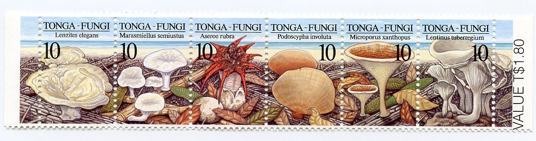Philatelic Collector Inc