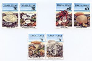 Philatelic Collector Inc