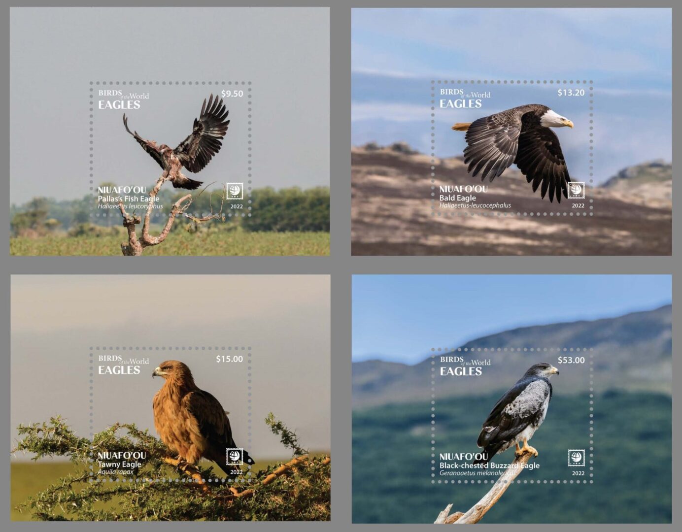 Niuafo'ou - 2022 - Birds of the World - Eagles - Image 2