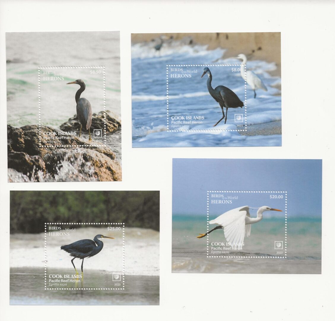 Cook Islands – 2023 – Birds of the World – Pacific Reef Heron - Image 2