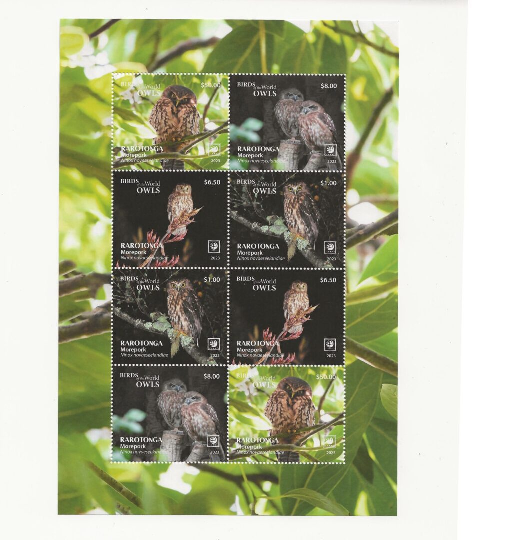 Rarotonga - 2023 - Birds of the World - Morepork Owl - Image 2