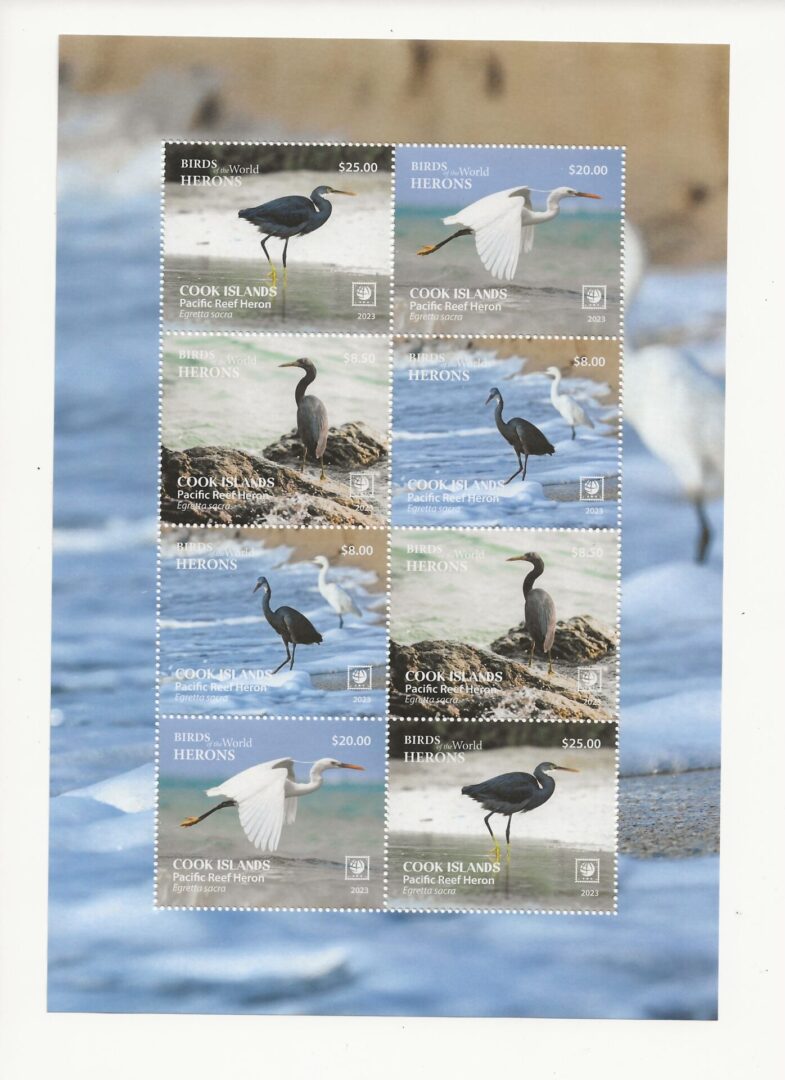 Cook Islands – 2023 – Birds of the World – Pacific Reef Heron - Image 3